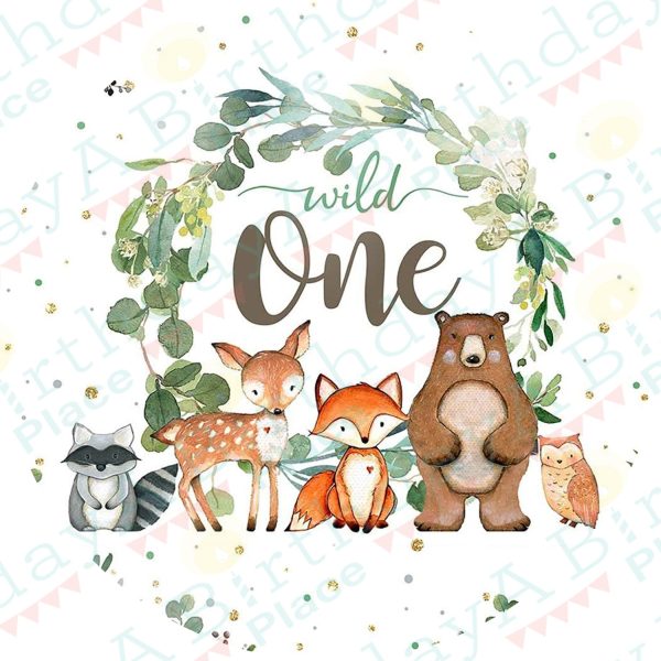 Wild One Edible Cake Topper Image ABPID57741 Online Hot Sale