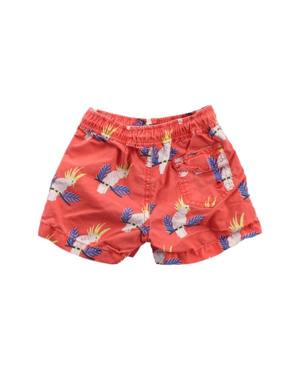 Seed Shorts 2T Hot on Sale