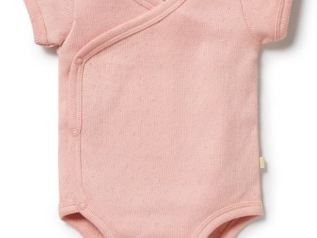 Wilson & Frenchy Short Sleeve Bodysuit Newborn For Cheap