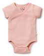 Wilson & Frenchy Short Sleeve Bodysuit Newborn For Cheap