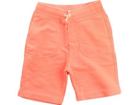 Crewcuts Shorts 5T Online Sale