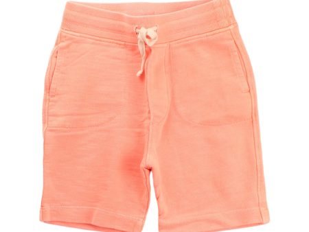 Crewcuts Shorts 3T Online Sale