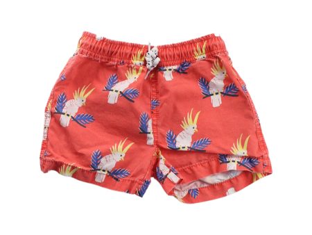 Seed Shorts 2T Hot on Sale