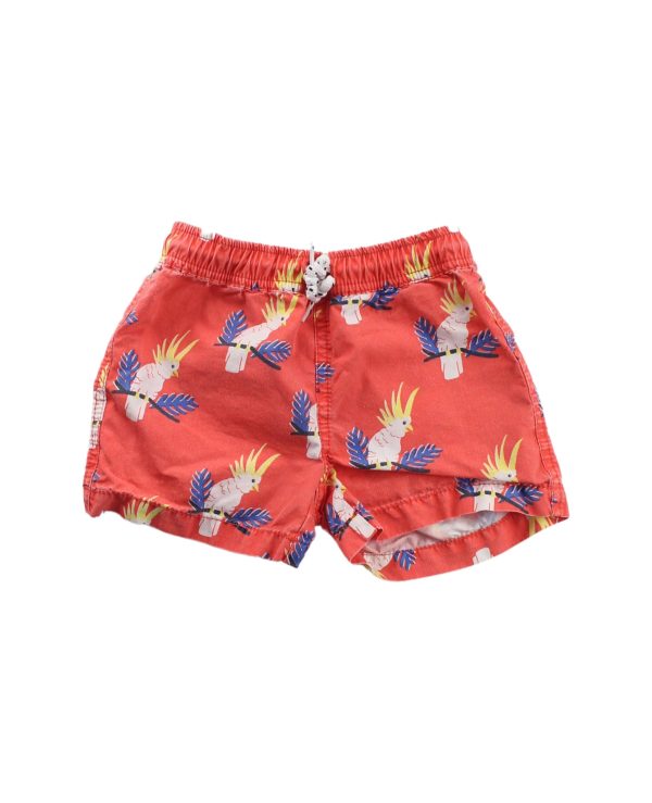 Seed Shorts 2T Hot on Sale