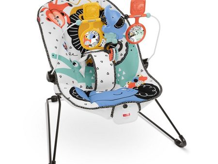 Baby s Bouncer Discount