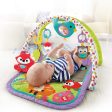 3-in-1 Musical Activity Gym, Woodland Friends Online now