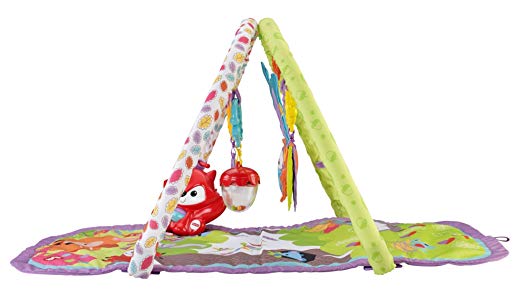 3-in-1 Musical Activity Gym, Woodland Friends Online now