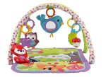 3-in-1 Musical Activity Gym, Woodland Friends Online now