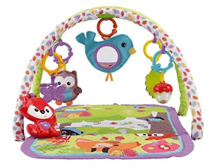 3-in-1 Musical Activity Gym, Woodland Friends Online now