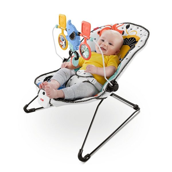 Baby s Bouncer Discount