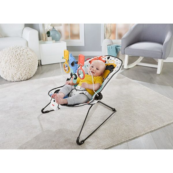 Baby s Bouncer Discount