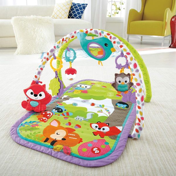 3-in-1 Musical Activity Gym, Woodland Friends Online now