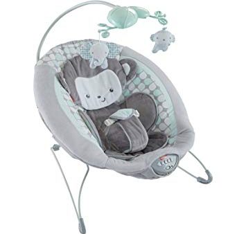 Sweet Surroundings Monkey Deluxe Bouncer on Sale