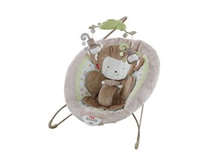 Fisher-Price My Little SnugaMonkey Special Edition Deluxe Bouncer Fashion